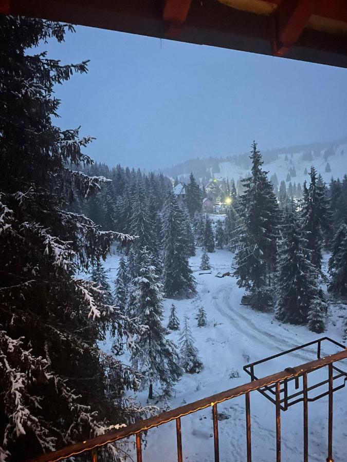 Cabana Miramonte Vartop Arieseni Екстер'єр фото